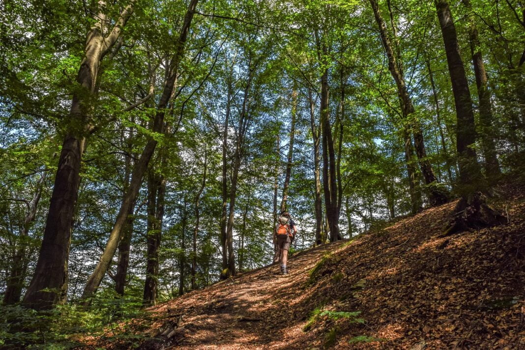 mountain-5429107_1280