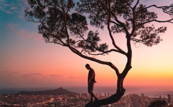 Chorwacja jesienią. Odkryj smak Turopolje