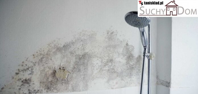 Osuszanie Piwnicy od Wewnątrz