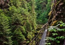 Blisko i sielsko. Odkryj uroki Brandenburgii