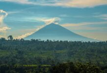 Dlaczego warto jechać na Bali?