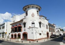 Dominikańskie Plantacje Kawy: Od Ziarna do Filiżanki