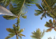 Altamira: Jaskinie i Malarstwo Naskalne Taíno